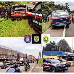 Interação das forças de segurança com a GMCL resultam em grande apreensão de drogas na BR- 277